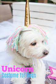 Unicorn Costume For Dogs Dog Halloween Costumes Unicorn Dog Costume Dog Halloween