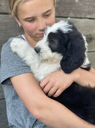 A.M. Skin LLC by Ashley May Budd