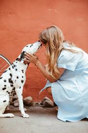 Many times a pet shipper in a nearby location will be able to help. About Us