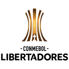 Chegou a hora da fase de grupos da libertadores! Pes 2019 Ps4 Option File Conmebol Copa Libertadores 2019 Soccerfandom Com Free Pes Patch And Fifa Updates