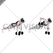 The dumbbell renegade row is a great exercise for your back, arms, and core. Dumbbell Renegade Row Female