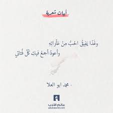 من اجمل ابيات الشعر لـ محمد ابو العلا عالم الأدب Words Quotes Wisdom Quotes Life Wisdom Quotes