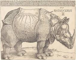 Design, model, present, analyze, realize. Category Durer S Rhinoceros Wikimedia Commons