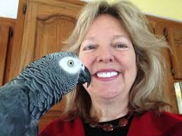 Our Instructors 2019