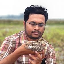 Common Kestrel female attacking Lesser Kestrel male Pune, Maharashtra  December 2018