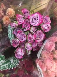 Check spelling or type a new query. Bunches Of Mini Roses Bouquets At Trader Joe S Steemit
