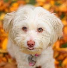 Meet Alejandra Robles