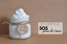 Chantilly De Karite A L Aloe Vera Diy Chantilly De Karite Karite Creme Aloe Vera