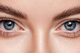 Image result for Pupil