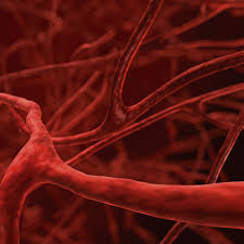 We did not find results for: Causes Of Broken Capillaries On Chest