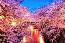 Pin On Hd Wallpapers