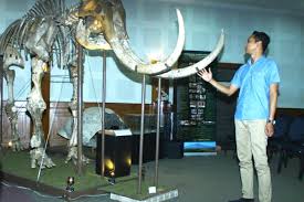 Maybe you would like to learn more about one of these? Fosil Manusia Purba Ini Ditemukan Di Ntt Bisa Jadi Referensi Global Baru Mongabay Co Id Mongabay Co Id