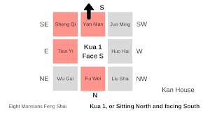 Eight Mansions Feng Shui And The 8 Charts Picture Healer