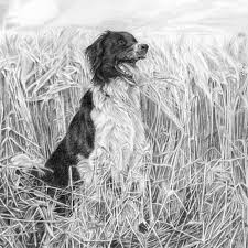 Maybe you would like to learn more about one of these? Pet Portraits And Family Portraits Hand Painted From Photographs