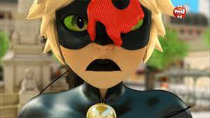 Akumatized Chat Noir Ladybug And Chat Noir Ladybug Cat Noir Miraculous Ladybug