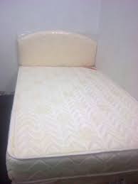 راقصة القلق منطقة سرير من سليب هاي Outofstepwineco Com