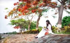 Image result for aó tím sân trường images