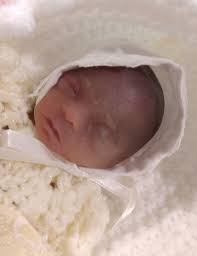 Obituary information for Aria Nicole Rogers