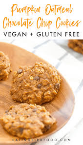 Pumpkin Oatmeal Chocolate Chip Cookies Vegan Eating Bird Food Recipe Vegan Pumpkin Cookies Pumpkin Oatmeal Chocolate Chip Cookies Gluten Free Pumpkin Cookies