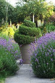 So what happens if your yard or outdoor space garden carts can be a lifesaver when carrying plants, mulch, potting soil and more around your yard. Brilliant Low Maintenance Plants For Beautiful Gardens The Middle Sized Garden Gardening Blog