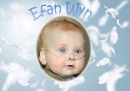 Elusennau Efan- Efan's Charities