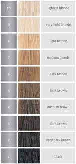 Levels Hair Levels Hair Color Chart Wella Hair Color