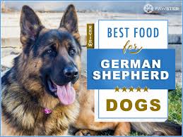 Our 2021 german shepherds feeding guide. Top 8 Recommended Best Foods For A German Shepherd In 2021