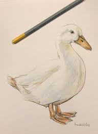 Pin On Ducks