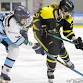Women's Elite League Ice Hockey - Bristol Huskies event image