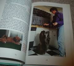 LHASA APSOS Breed Dog New Owner's Guide Nancy Plunkett Complete Care hc/dj  ILLUS