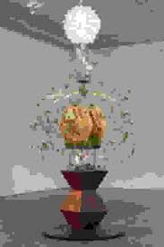 Bildergebnis für Kelly Heaton