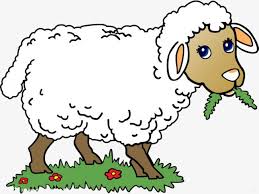 الابيض خروف اكل رسم cartoon clip art sheep art colored drawings