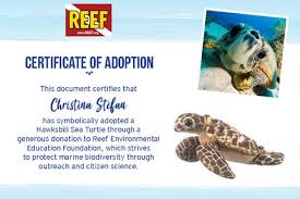 World wildlife fund helps endangered animals by working on immediate threats to animal conservation and saving the environment in which the animals live. Adopt Your Favorite Conservation Creature Reef Environmental Education Foundation