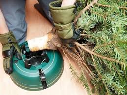 Oft fängt die begeisterung für das bevorstehende fest der liebe auch schon gleich nach thanksgiving. So Klappt S Den Weihnachtsbaum Sicher Aufstellen Express De