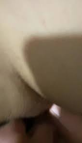 Turk sakso twitter Porn Videos, 3 | Faphouse