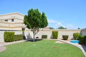 Check spelling or type a new query. 4 Paws Pet Resort 1608 N Greenfield Rd Mesa Az 85205 Yp Com