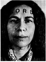 BIG SENSIBLE, introductory remarks