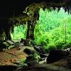 Satu lagi tempat menarik di sarawak untuk percutian alam semulajadi ialah taman negara kubah. 3