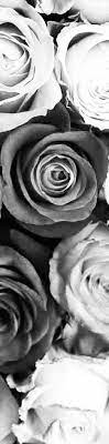 Check spelling or type a new query. Frances Perry House Florist Abc Flowers Flowers Hampers To Frances Perry House Parkville Free Delivery