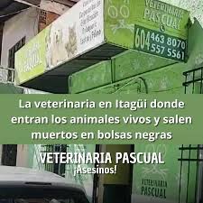 Veterinaria Pascual