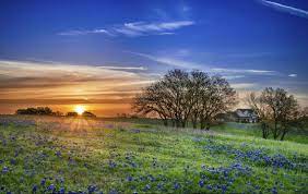 Where can you buy land in texas? How To Buy Land In Texas Rethink Rural Blog
