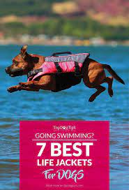 7 Best Life Jackets And Vests For Dogs Dog Life Vest Life Jacket Dog Swimming