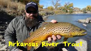 Strong and severe storms are moving through nw arkansas and river valley. Arkansas River Trout Fishing Youtube