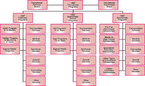 hca organizational chart related keywords suggestions