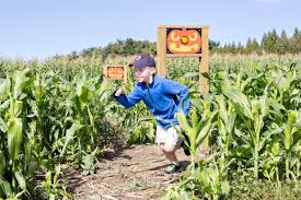 Corn Mazes Near Boston With Fun Extras Like Zip Lines Playgrounds And Rides Boston Things To Do Corn Maze Boston With Kids