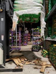 The home depot treated their employees well as the pandemic was making its way through everyone's work environment. The Joys Of Garden Recovery Homedepot