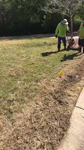 Charlotte, nc 232 landscaping companies near you. Corona Landscaping 413 N Polk St Pineville Nc 2021