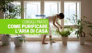 Metto subito l'elenco delle piante che sono (relativamente) facili da coltivare in casa e che puliscono gli ambienti. Purificare L Aria Di Casa Come Fare Tecnova Group