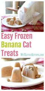 These Easy Frozen Banana Cat Treats Are Perfect For Every Kitty Plus You Can Got Wrong With Homemade Cat Food Cat Treats Homemade Homemade Cat Treats Recipes