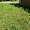 Even with having a regular company treating my lawn i was having weed issues. Top 645 Trugreen Lawn Care Reviews